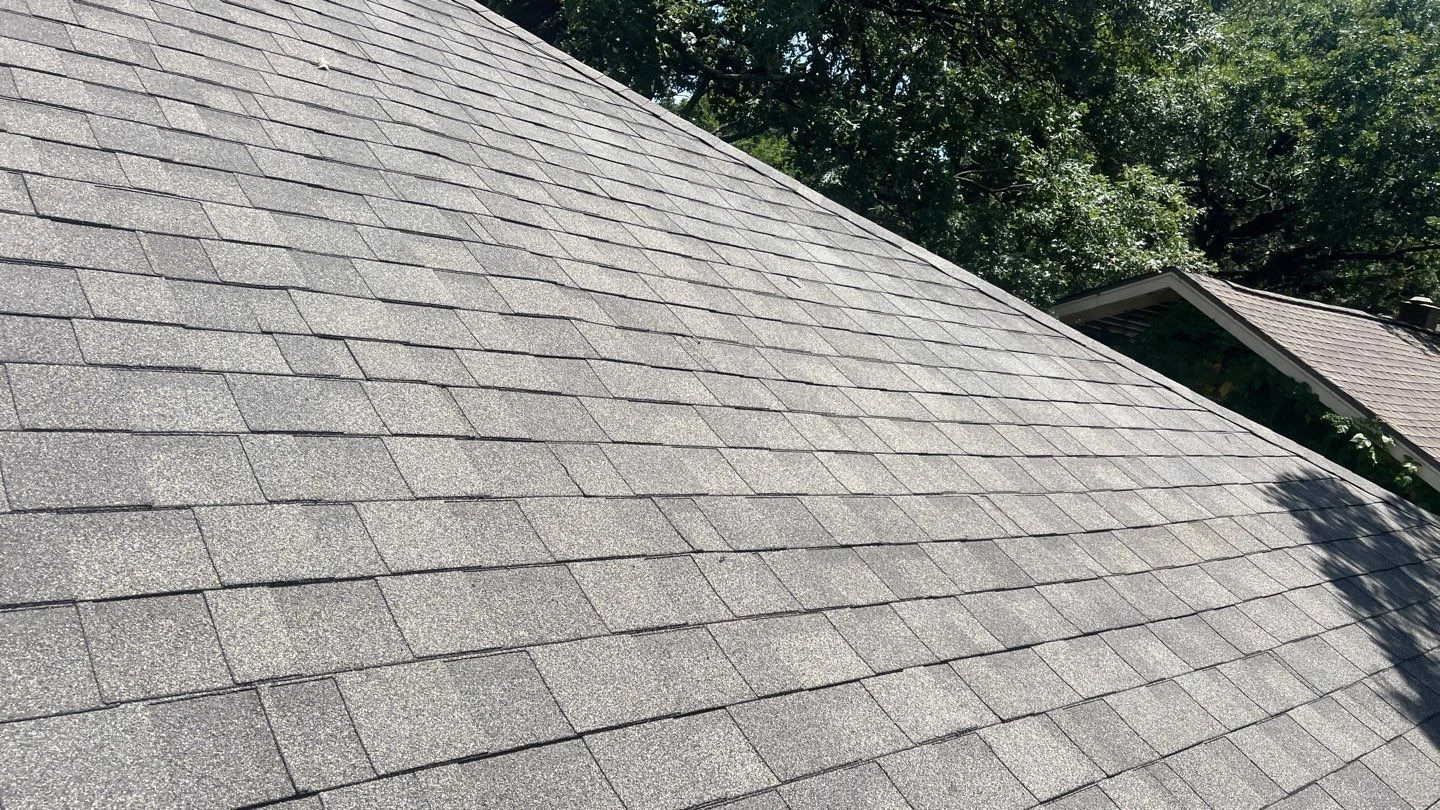 Gray shingle roof beside mature trees